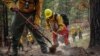 Washington state pioneers program to turn inmates into wildland firefighters