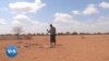 Une organisation aide les communautés rurales du Kenya à préserver les pâturages