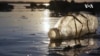 Image result for June Soh