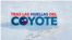 Thumbnail del audio Tras las huellas del coyote
