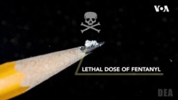Синтетичкиот убиец „фентанил“, втор дел: Патот на смртоносната дрога во САД