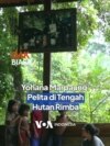 Yohana Marpaung: Pelita di Tengah Rimba
