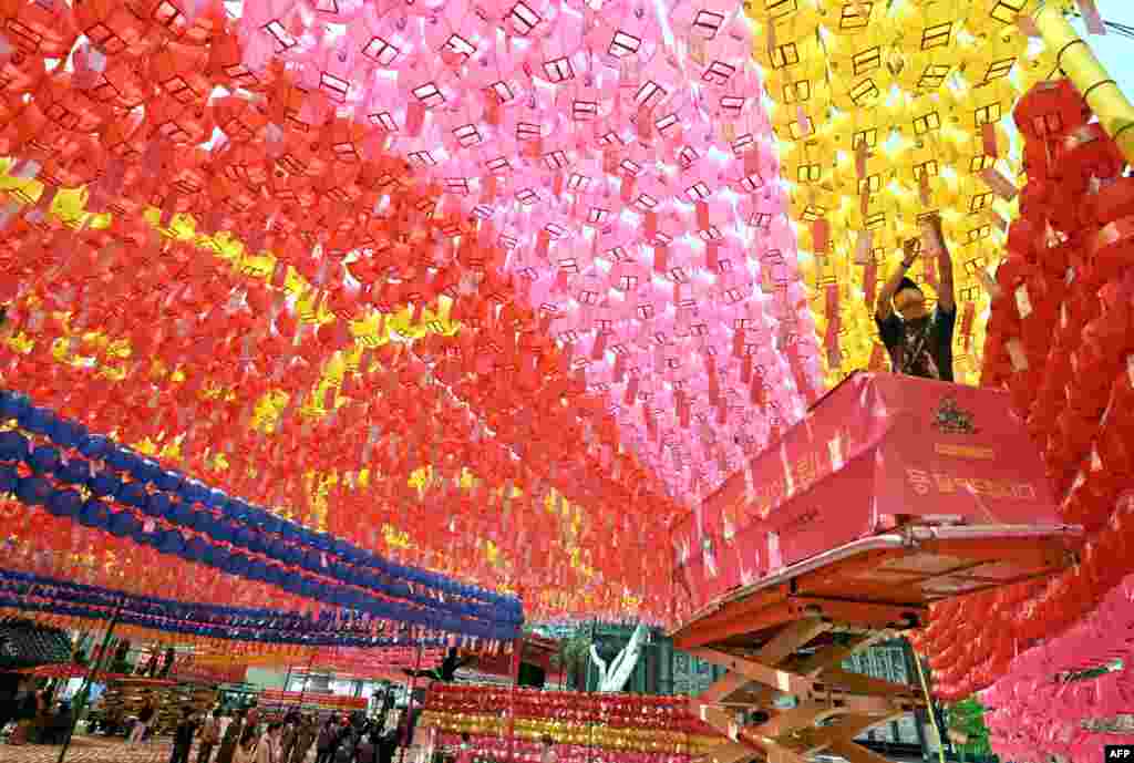 A worker attaches name cards with wishes of Buddhist followers to lotus lanterns at Jogyesa Temple in Seoul, ahead of celebrations marking Buddha's birthday on May 27.