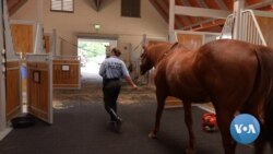 New Police Horse Stables Open on National Mall in Washington