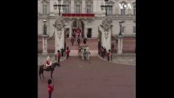 英国凯特王妃出席皇家阅兵仪式 