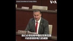 美国会众院外委会通过有关维吾尔强迫劳动以及强摘器官的法案