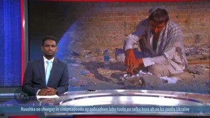 Daroogada Opium oo ku kordheysa Afghanistan