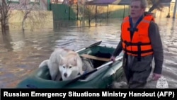 This photo taken from a video released by the Russian Emergency Situations Ministry on April 6, 2024, shows a rescuer evacuating a dog during a flood in the Orenburg region, southeast of the southern tip of the Ural Mountains, Russia.