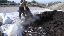 کارگەیەکی بەرهەمهێنانی پەینی سروشتی لە ئەنجامی توێژینەوەی کچە کوردێک دادەمەزرێت