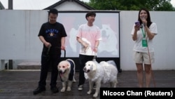 Dog owner Rye Ling holds Bree as the dogs get married in Shanghai, China June 29, 2024. (REUTERS/Nicoco Chan)