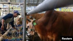 ILUSTRASI - Seorang pekerja memberi makan hewan dengan rumput kering di sebuah toko ternak di Depok, pinggiran Jakarta, 28 Juli 2020. (REUTERS/Ajeng Dinar Ulfiana)