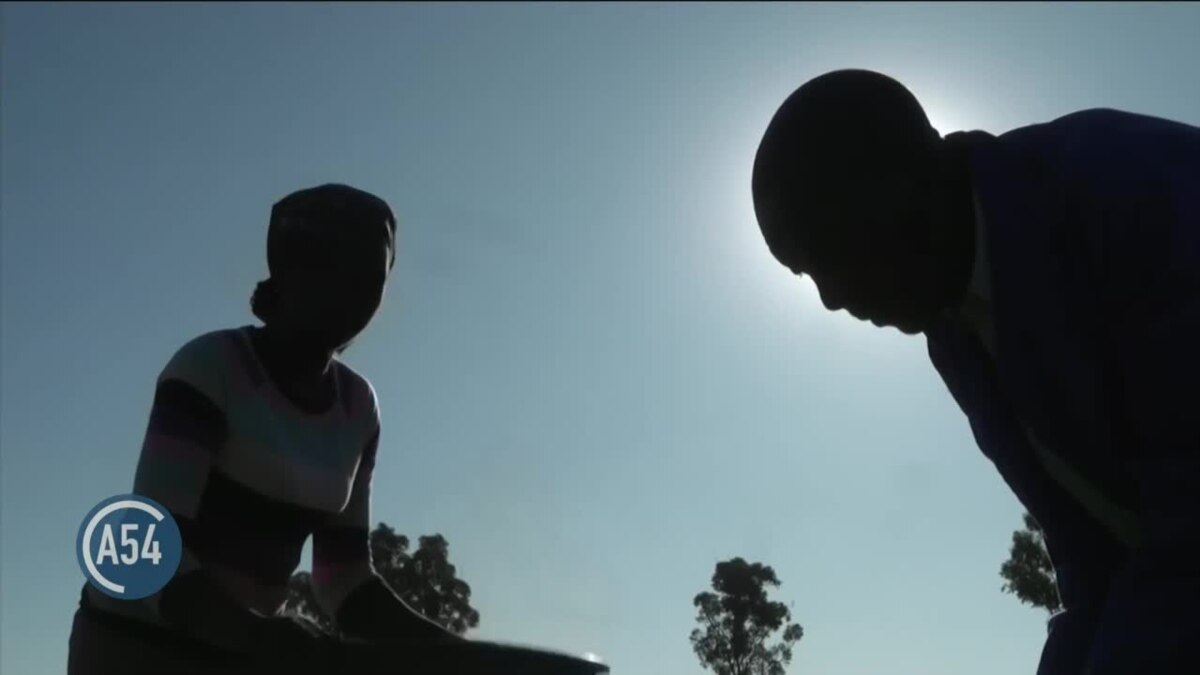 Zimbabwe Records Bumper Harvest