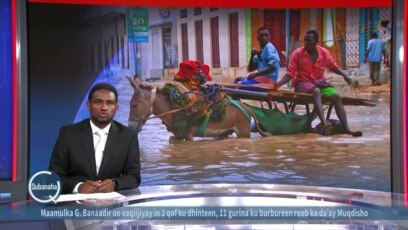 Roobab khasaare gaystay oo ka da’ay Muqdisho 