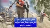 تلاش برای خاموش کردن آتش‌سوزی جنگل‌های کبیرکوه دره‌شهر در ایلام