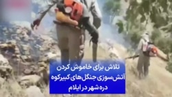 تلاش برای خاموش کردن آتش‌سوزی جنگل‌های کبیرکوه دره‌شهر در ایلام