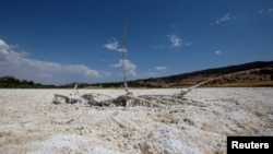 This file photo shows Elizabeth Lake, in Los Angeles County, California, which has been dried up for several years, as the area experiences extreme heat and drought conditions. (REUTERS/Aude Guerrucci)