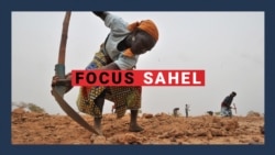 Focus Sahel, épisode 67 : l'agriculture face à l'insécurité