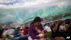 FILE - A women breastfeeds her child at a park where thousands of nursing mothers gathered for a mass feeding session to commemorate World Breastfeeding Week, in Bogota, Colombia, Friday, Aug. 2, 2019.