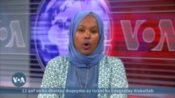 Soomaalida oo si weyn uga dhex muuqata siyaasadda Minnesota