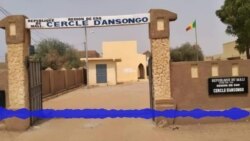 Jatikɛwale maw ye dankarili Kɛ Ansongo mara la 