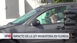 Ley de Florida impacta a migrantes indocumentados, aunque porten licencias de otros estados de EEUU 