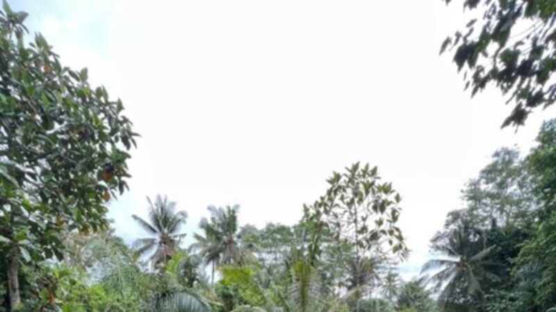 Retreat Katarsis- (Dokumentasi Gusti Putu Darmika)