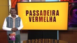 Passadeira Vermelha #166: A eletrizante música de Black Violin