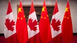 加拿大人對中國看法更加負面 對美台印看法良好