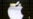 Apple Fined Nearly $2 Billion by EU Over Music Streaming Competition