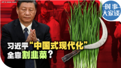 时事大家谈：习近平“中国式现代化” 全靠割韭菜？