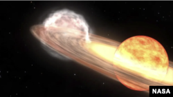 A NASA illustration shows how the nova eruption of distant T CrB might look. The U.S. space agency says the nova should be visible to the naked eye and occur anytime from now until September. 