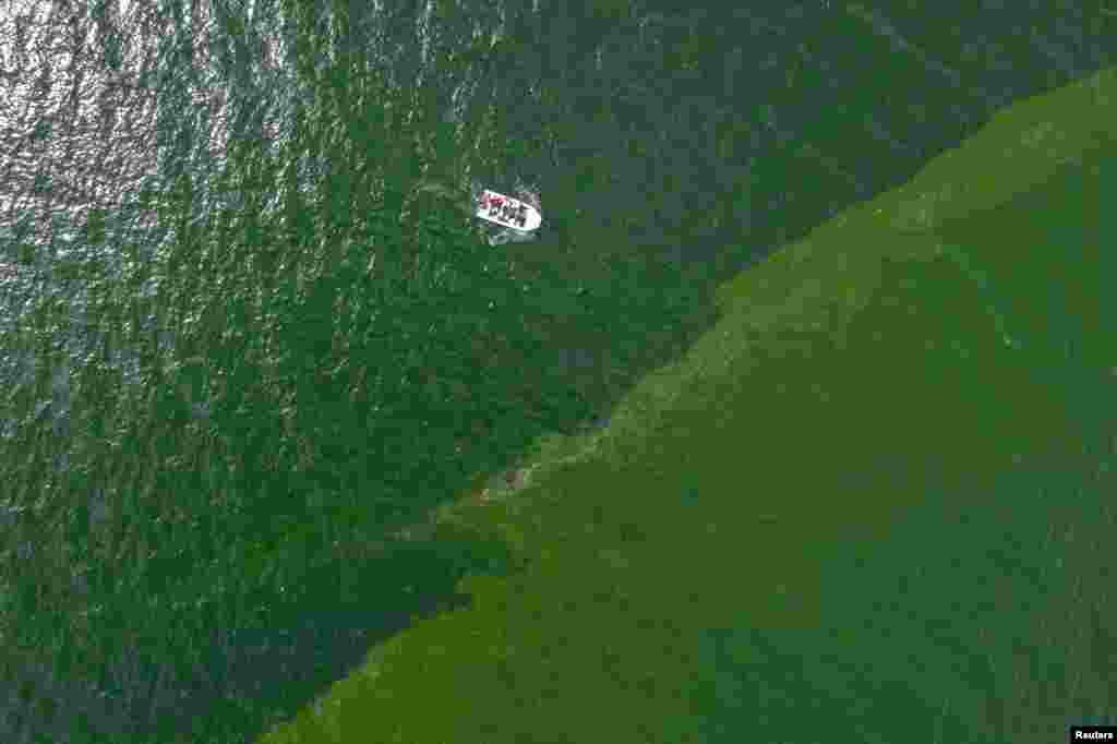 An aerial view of green sea water caused by plankton bloom known to kill marine life, at Chonburi&#39;s coastline, Thailand.