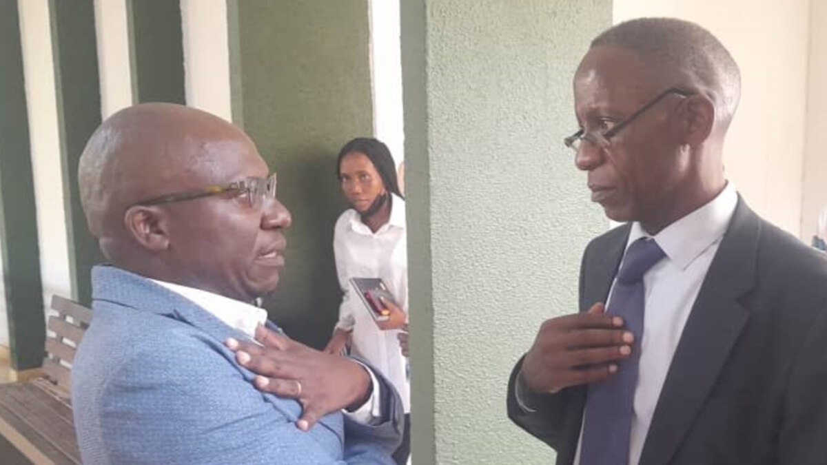 Amnesty International Says It's Unconscionable That Ngarivhume Spent 8 Months in Jail for Organizing Public Protest - Vimarsana News