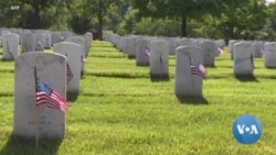 Memorial Day Weekend Events in Washington Honor Soldiers' Ultimate Sacrifice