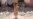 16x9 Image