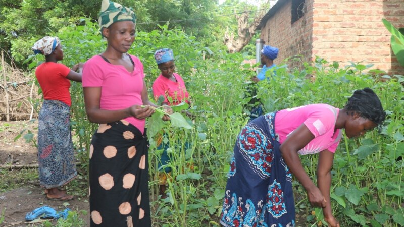 Malawi takes steps to end poverty among women and girls 