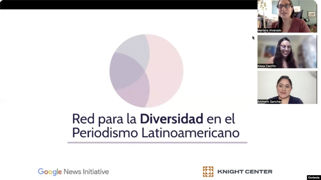 Captura de pantalla de uno de los seminarios de la Red para la Diversidad del Periodismo Latinoamericano.