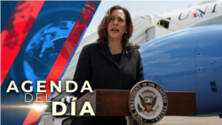 Kamala Harris desvelará quién será su compañero de fórmula para la carrera a la presidencia