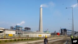 রামপাল কয়লাভিত্তিক তাপ বিদ্যুৎকেন্দ্র। (ফাইল ছবি) 