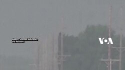 Banteng Besar Dibawa Naik Sedan, Sopir Disetop Polisi