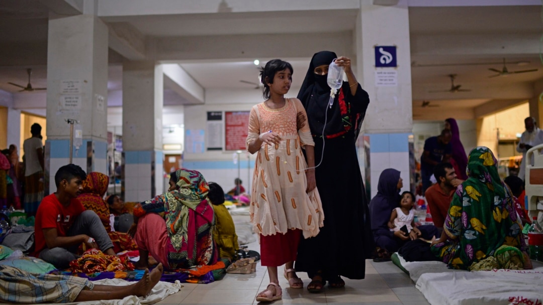 Dengue Outbreak in Bangladesh Sparks Alarm After 364 People Die This Year
