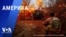 «Америка» – 14 марта 2024 