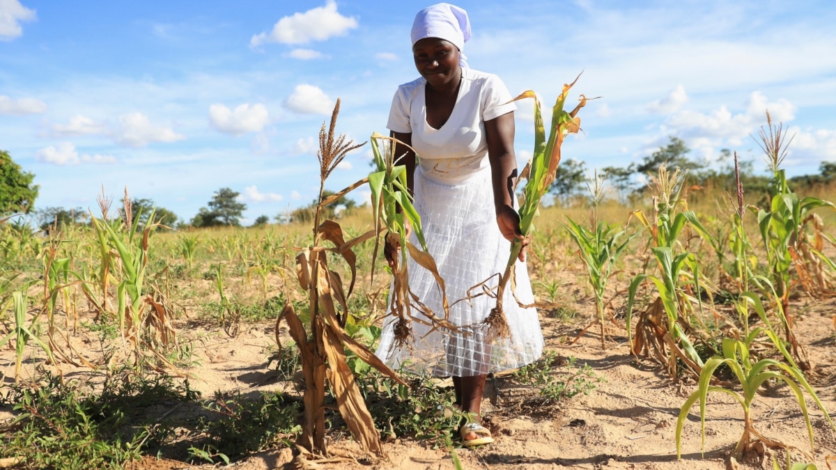 UNICEF: Climate Change Leaves 'Dire Situation' for 45 Million African Children - Vimarsana News