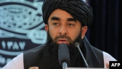 د طالبان ترجمان ذبیح الله مجاهد