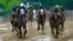 Jaime Torres, left, atop Seize The Grey, leads the pack to win the Preakness Stakes horse race at Pimlico Race Course in Baltimore, Maryland, May 18, 2024.