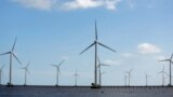 (FILE) Power-generating windmill turbines are pictured at a wind park in Bac Lieu province, Vietnam, July 8, 2017. 