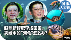 时事大家谈：赵鼎新辞职李成回国，夹缝中的“海龟”怎么办？ 
