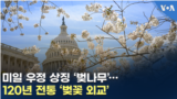 미일 우정 상징 ‘벚나무’…120년 전통 ‘벚꽃 외교’
