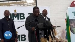 Chiwenga: Zimbabwe Targeting US$5 Billon Tobacco Industry by 2025