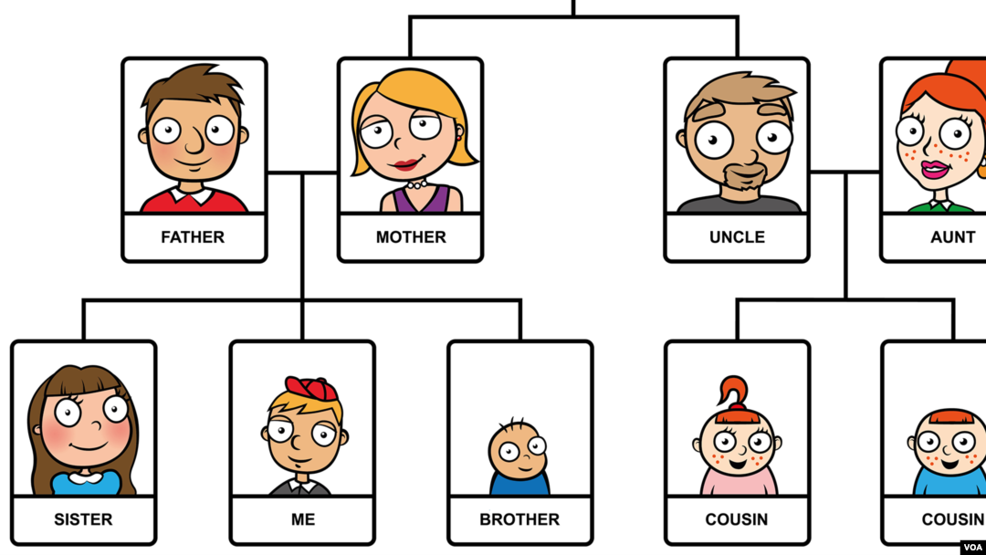 Quiz - Lesson 17: Who Is in your family?
